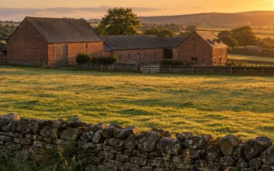 Business rates exemptions ranked by savings potential in 2026